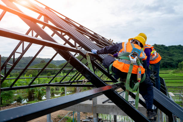 Best Metal Roofing Contractor  in St Cloud, MN